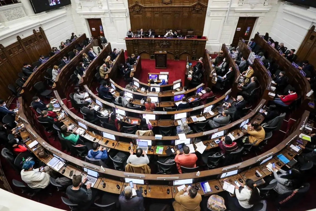 Convención Constitucional, Redes Sociales