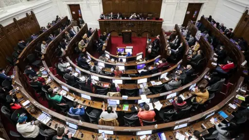 Convención Constitucional, Redes Sociales