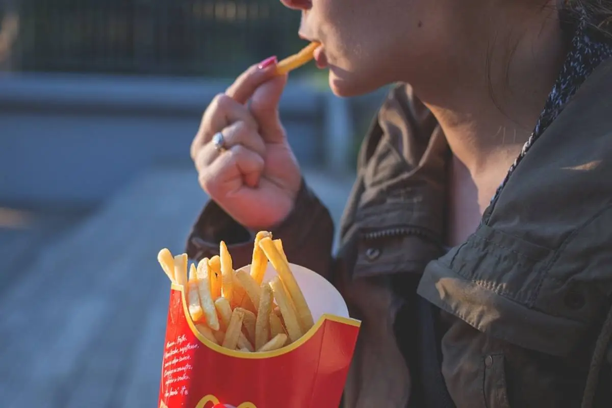 Alimentación, Cedida