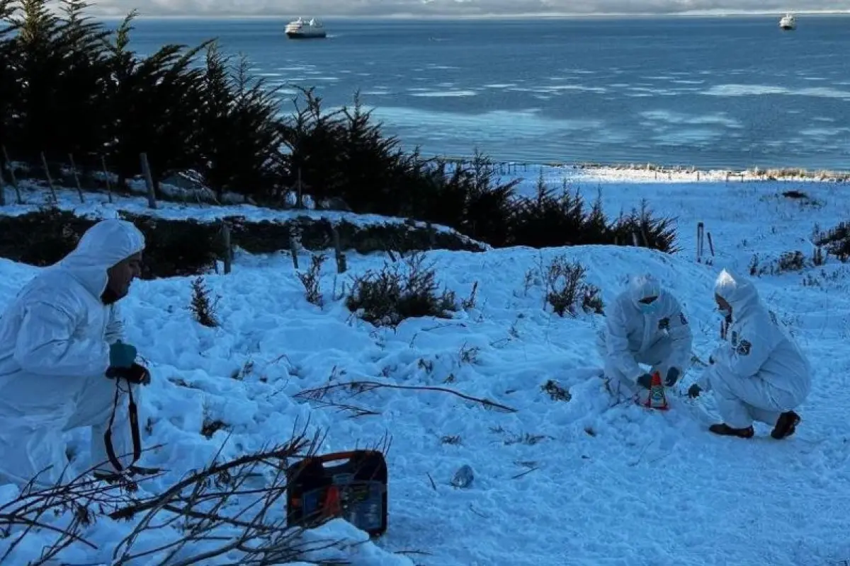 Hombre muerto en Punta Arenas , Redes sociales