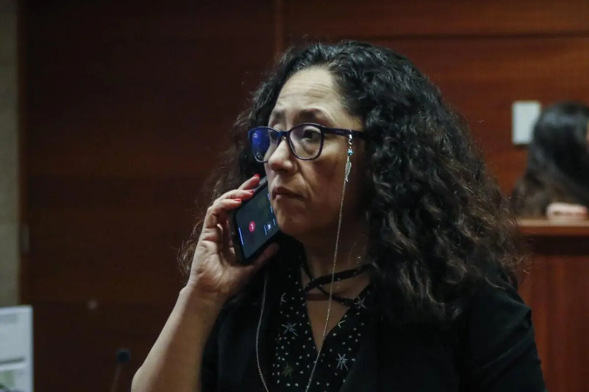 Ximena Chong, Internet