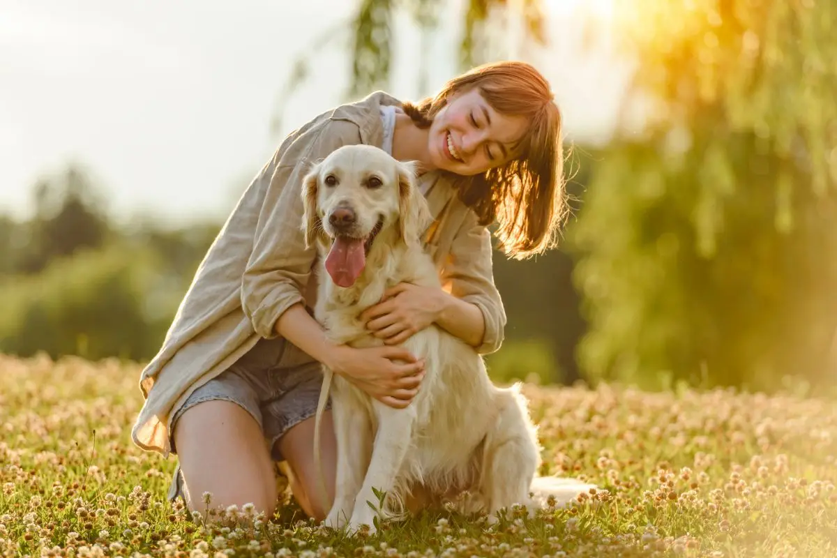 Este domingo se conmemora el Día Mundial del Perro, Cedida