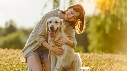 Este domingo se conmemora el Día Mundial del Perro, Cedida