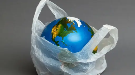 Día internacional del no uso de bolsas plásticas, Cedida