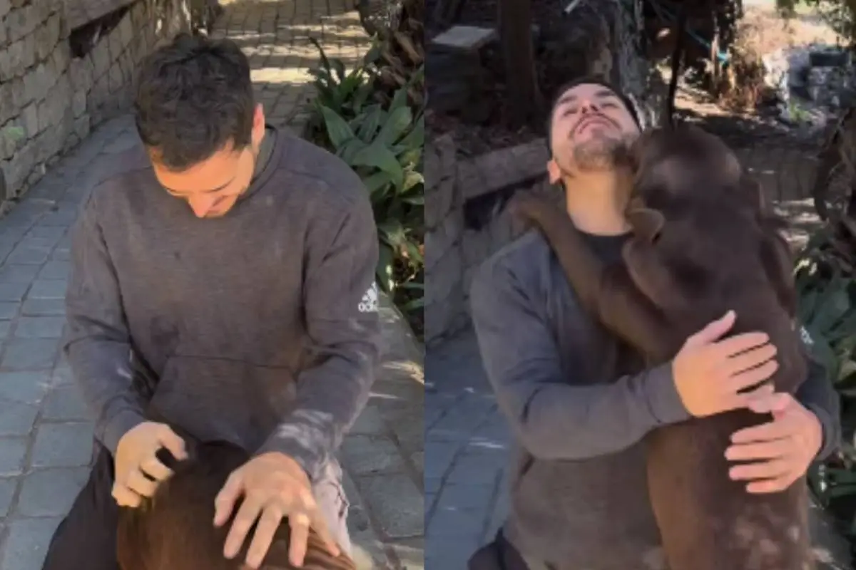 Pangal Andrade, Captura