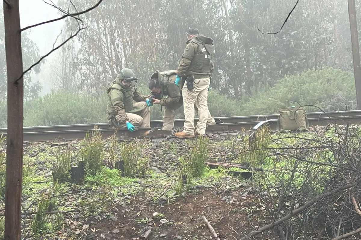 Atentado a vía férrea , Redes sociales