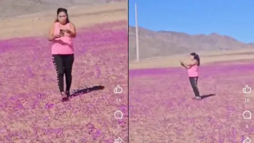 Mujer pisando flores en desierto florido , Captura de redes sociales