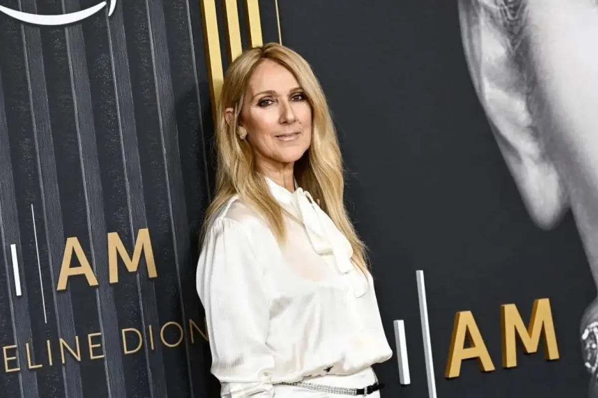 Céline Dion , Redes sociales