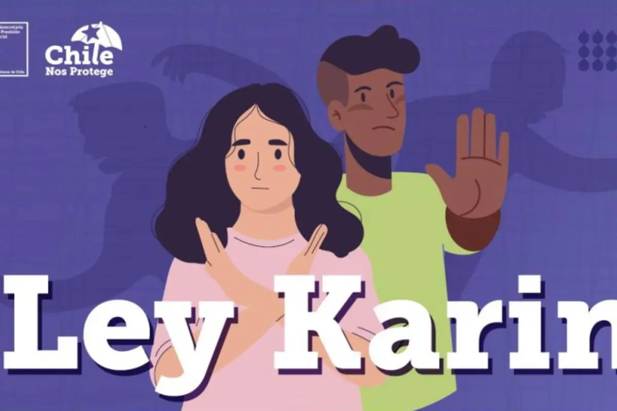 Ley Karin, Redes sociales