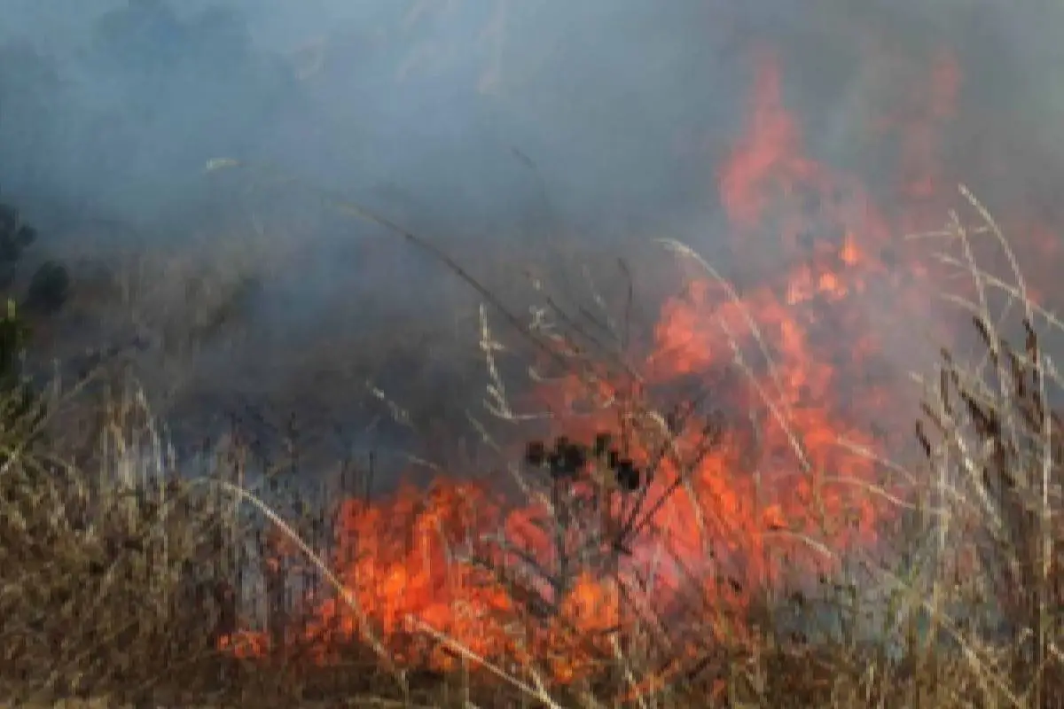 Contexto, Agencia UNO