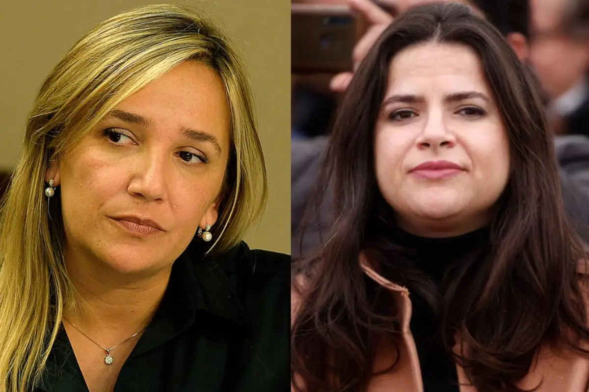 María José Hoffmann criticó sin filtro a la ministra Antonia Orellana, Redes sociales