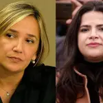 María José Hoffmann criticó sin filtro a la ministra Antonia Orellana, Redes sociales