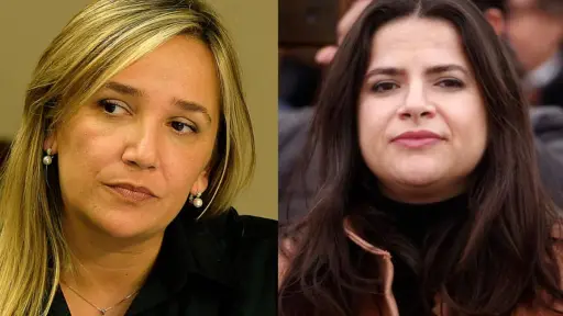 María José Hoffmann criticó sin filtro a la ministra Antonia Orellana, Redes sociales