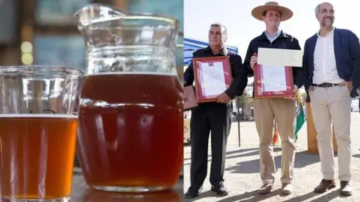 La chicha se prepara para las Fiestas Patrias, Cedida