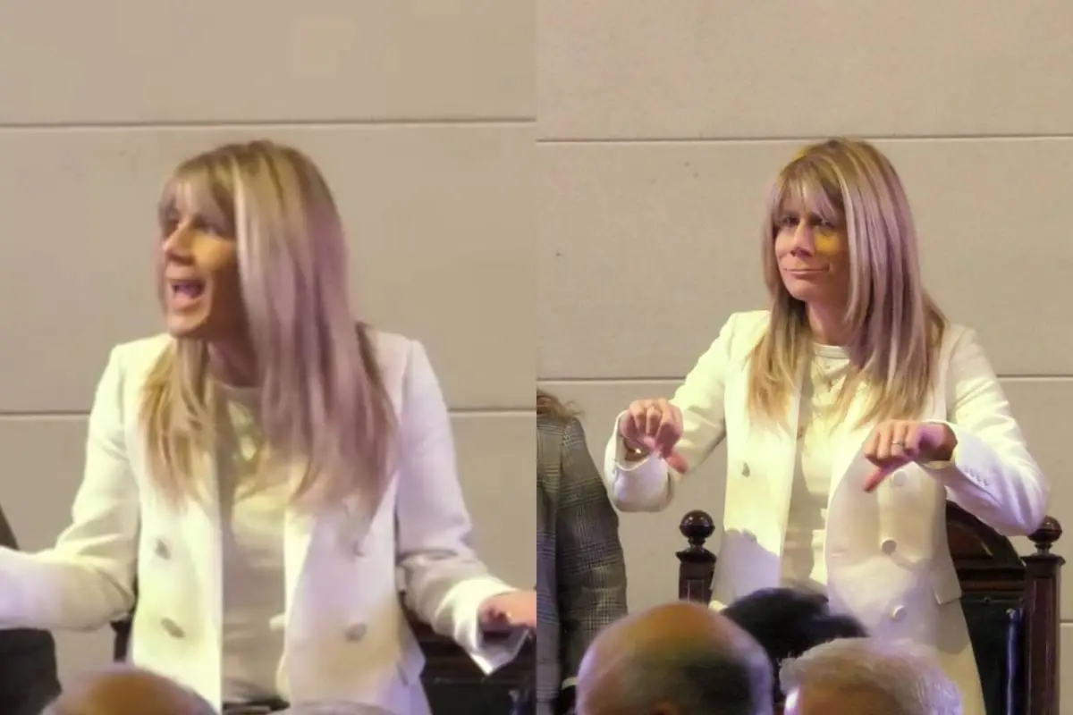 Reproducen por error tercera estrofa del himno nacional en acto oficial de Demócratas , Captura de redes sociales