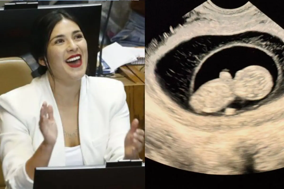 Karol Cariola será madre por primera vez, Instagram