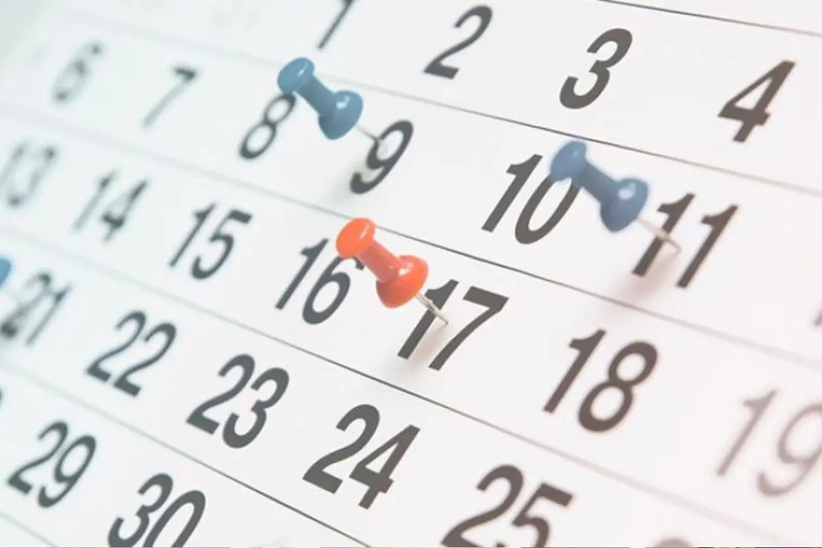 Este 20 de agosto es feriado en el Ñuble, Cedida