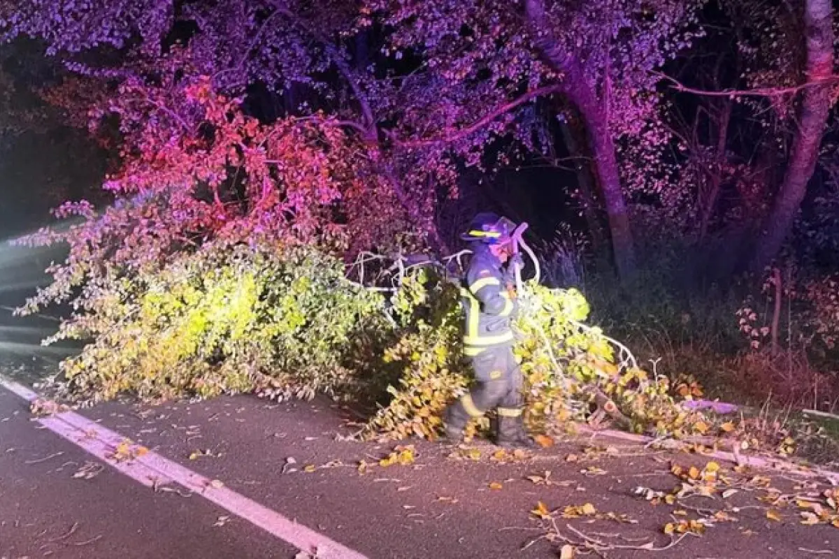 Bomberos atropellados en la Región del Maule, Redes sociales