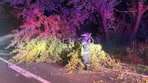 Bomberos atropellados en la Región del Maule, Redes sociales