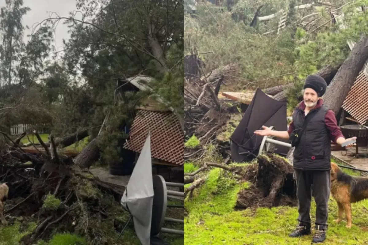 Árbol cayó sobre la casa de Quique Neira , Captura de redes sociales