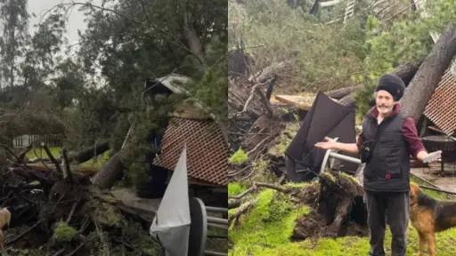 Árbol cayó sobre la casa de Quique Neira , Captura de redes sociales