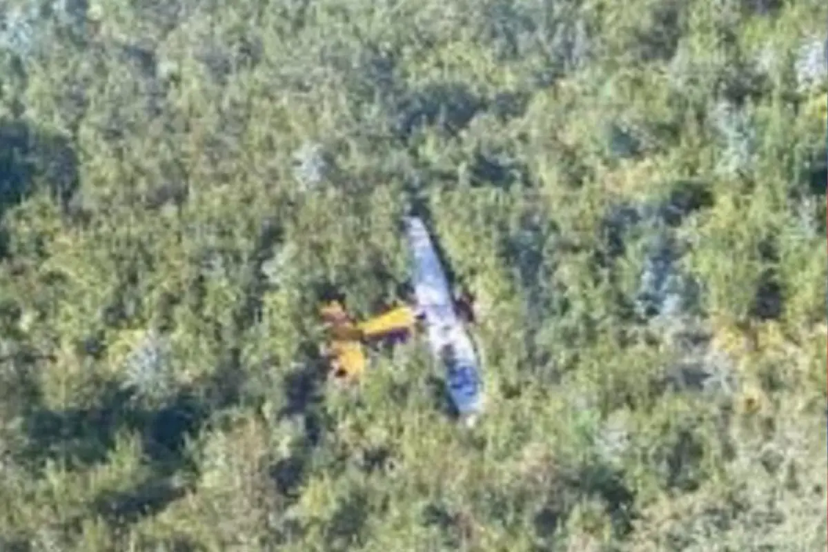 Siete personas murieron en el accidente, Captura