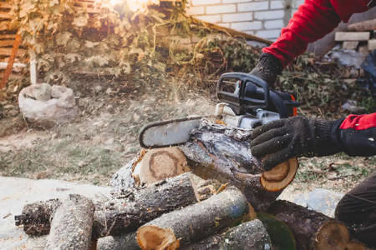 Hombre mata a su cuñado con motosierra , Redes sociales | Referencial