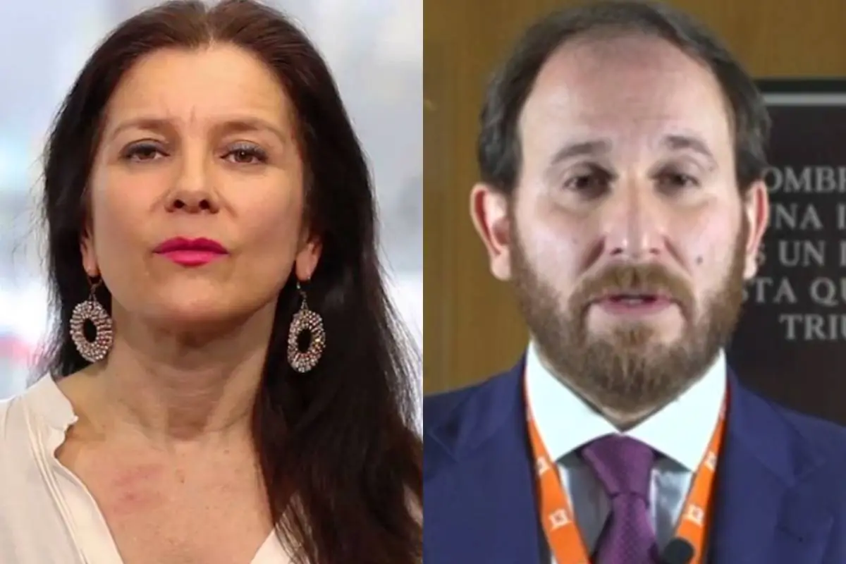 Mirna Schindler cuestionó candidatura de Max Luksic por Huechuraba, Redes sociales