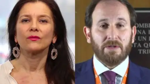 Mirna Schindler cuestionó candidatura de Max Luksic por Huechuraba, Redes sociales