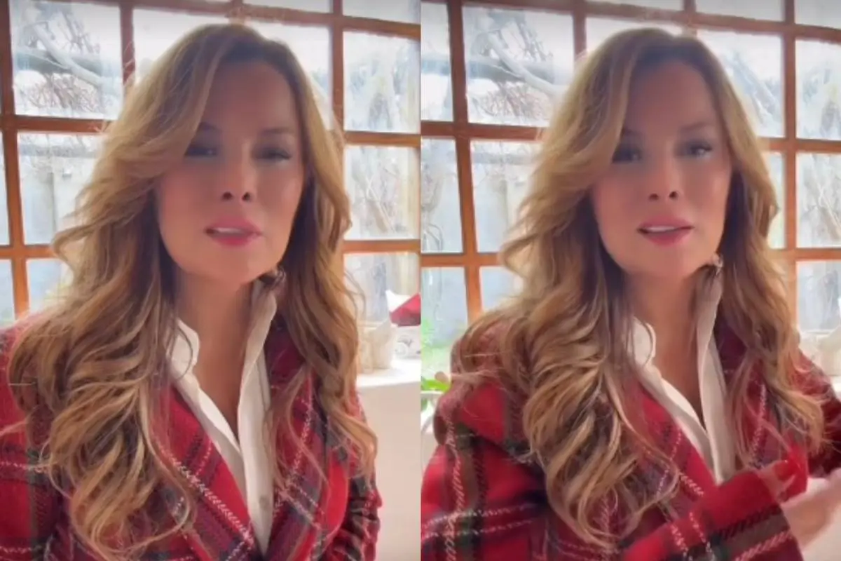 Cathy Barriga , Captura