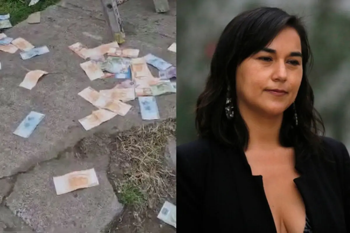 El asalto e Izkia Siches, Archivo