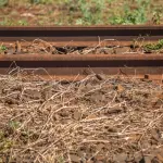 Hombre pierda las piernas tras ser atropellado por un tren en Lanco, Redes sociales | Referencial