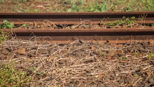 Hombre pierda las piernas tras ser atropellado por un tren en Lanco, Redes sociales | Referencial