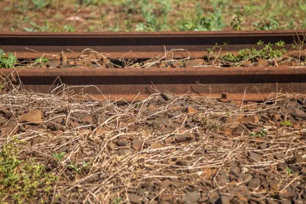 Hombre pierda las piernas tras ser atropellado por un tren en Lanco ,Redes sociales | Referencial