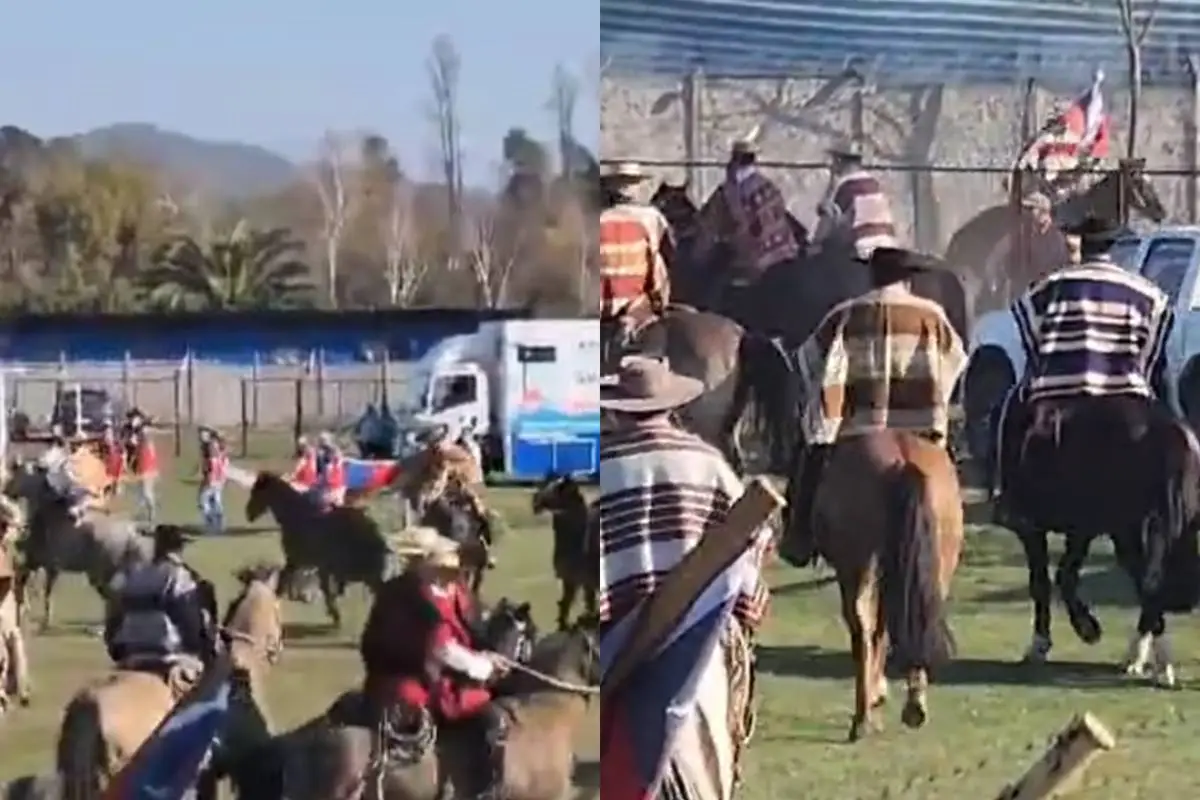 Caballo hirió a cinco personas en Requinoa , Captura de redes sociales