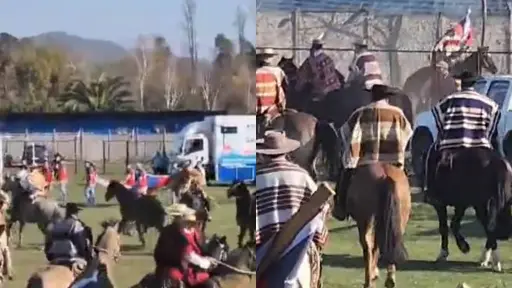 Caballo hirió a cinco personas en Requinoa , Captura de redes sociales