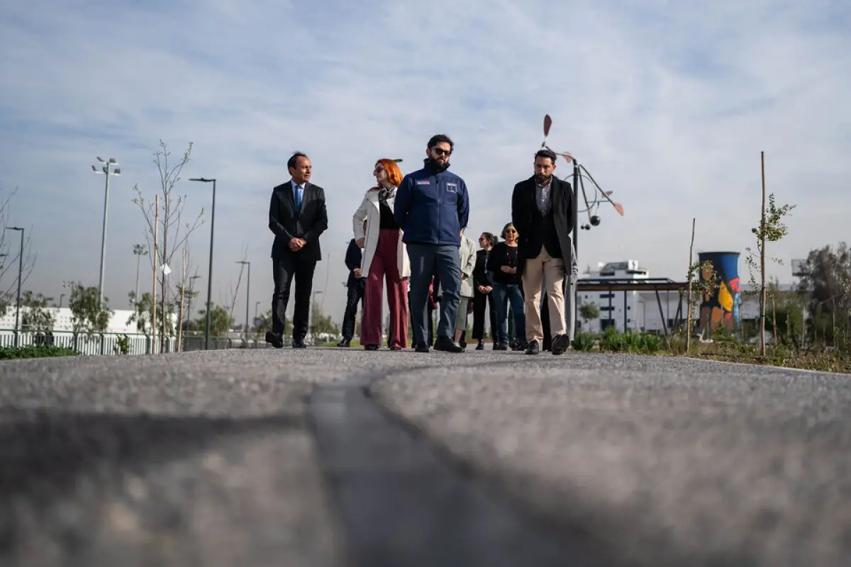 Gabriel Boric, Redes sociales