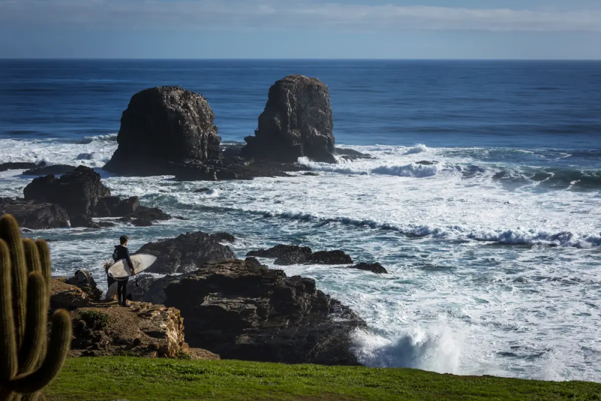 Pichilemu, Redes sociales