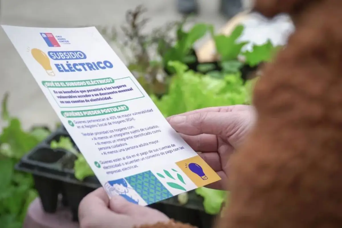 subsidio eléctrico