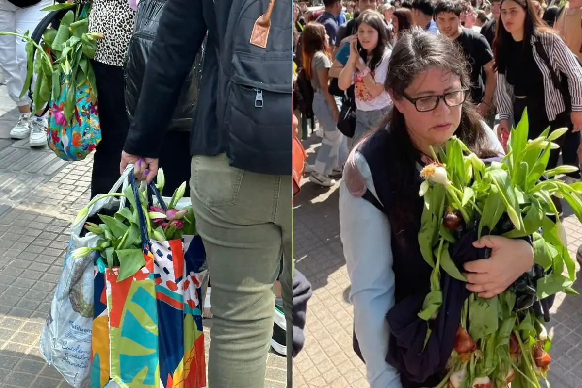 Los tulipanes pueden costar hasta .000, Captura