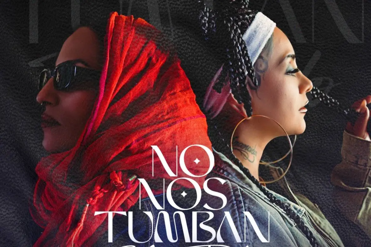 Ana Tijoux y Flor de Rap, Redes Sociales