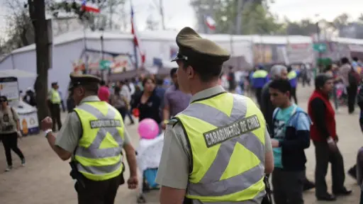 Carabineros resultó mordido en insólito proceso de fiscalización, Redes sociales | X