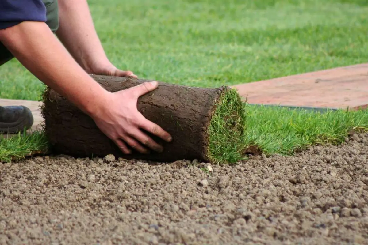 Conozca como mantener su pasto siempre verde, La Hora