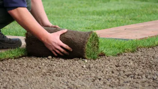 Conozca como mantener su pasto siempre verde, La Hora