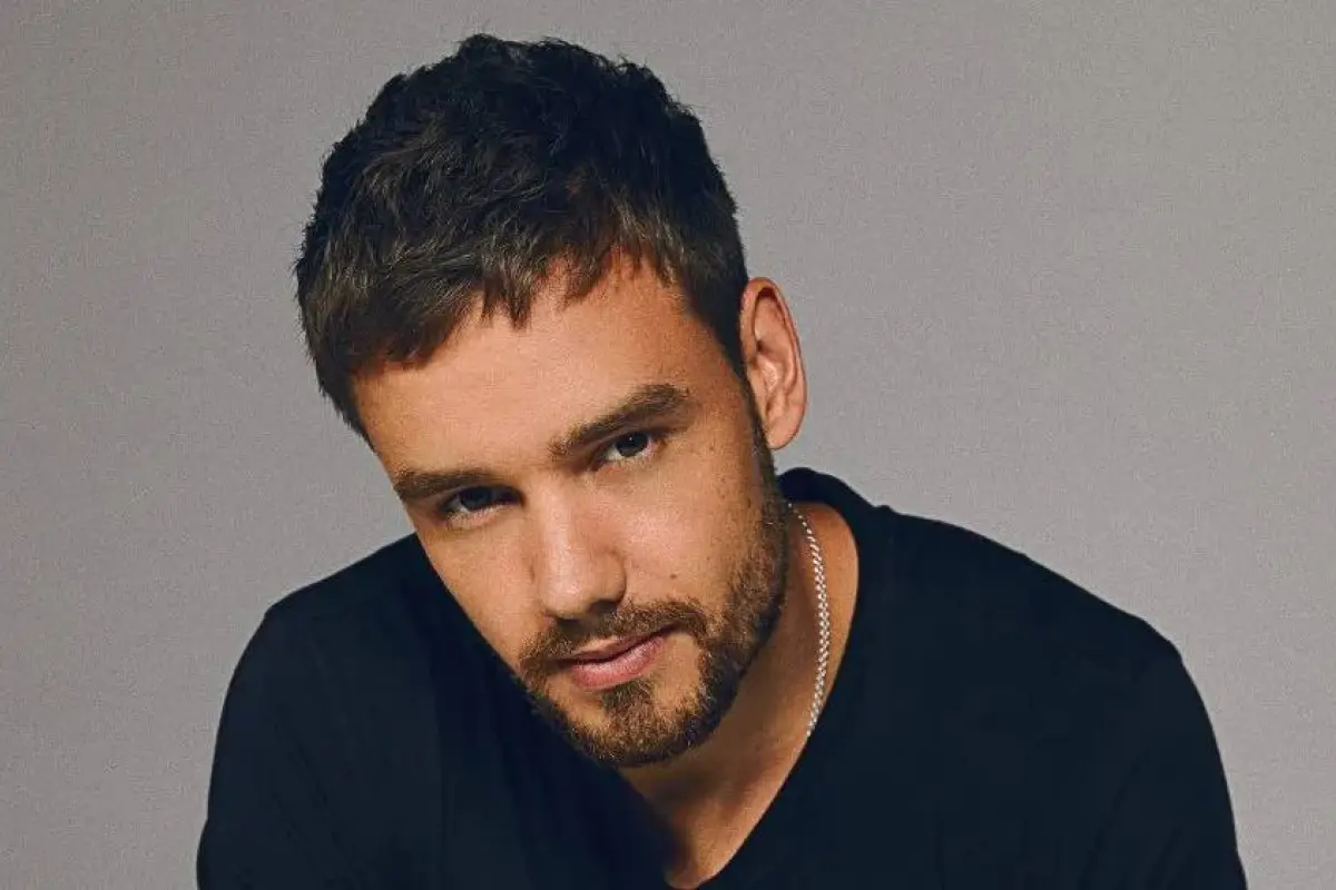 Liam Payne, Redes sociales