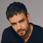 Liam Payne, Redes sociales