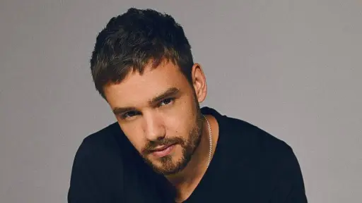 Liam Payne, Redes sociales