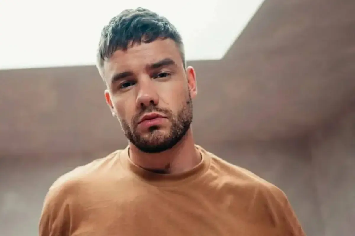 Liam Payne, Redes sociales