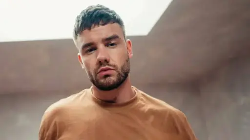 Liam Payne, Redes sociales