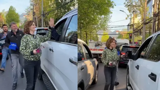 Marcela Cubillos en Las Condes, Captura